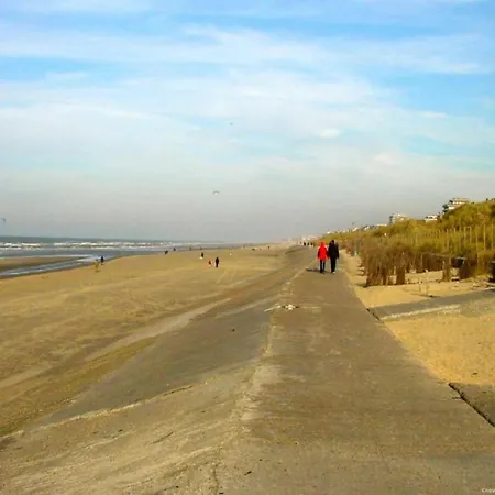 Luxbeach In *