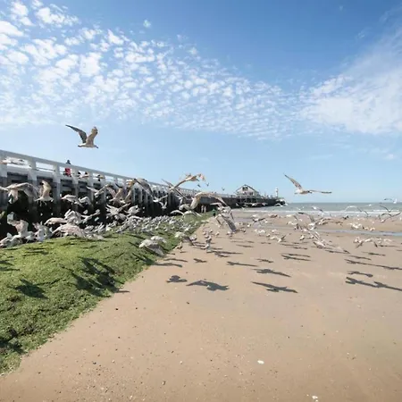 Luxbeach In Blankenberge